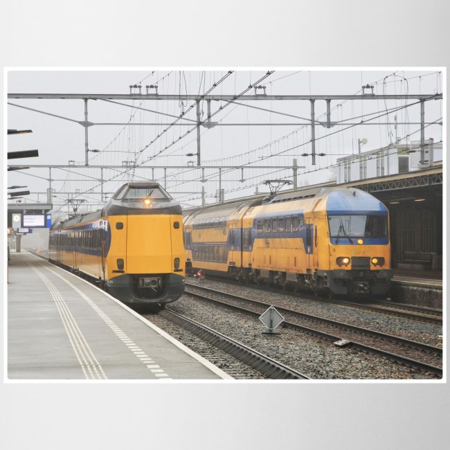 Twee treinen in Deventer