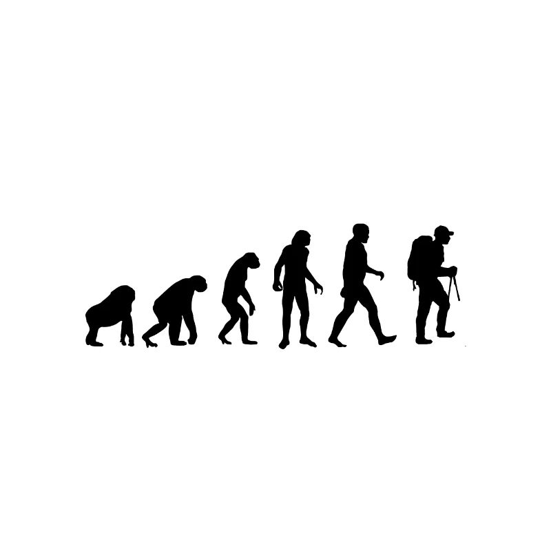 Die Evolution eines Wanderers