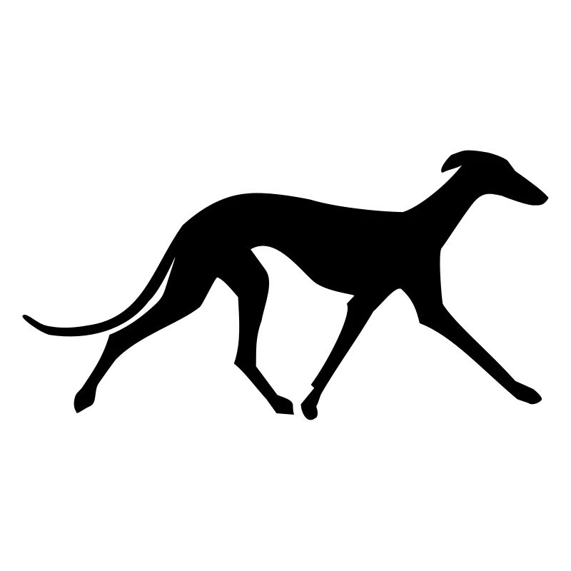 Galgo Español