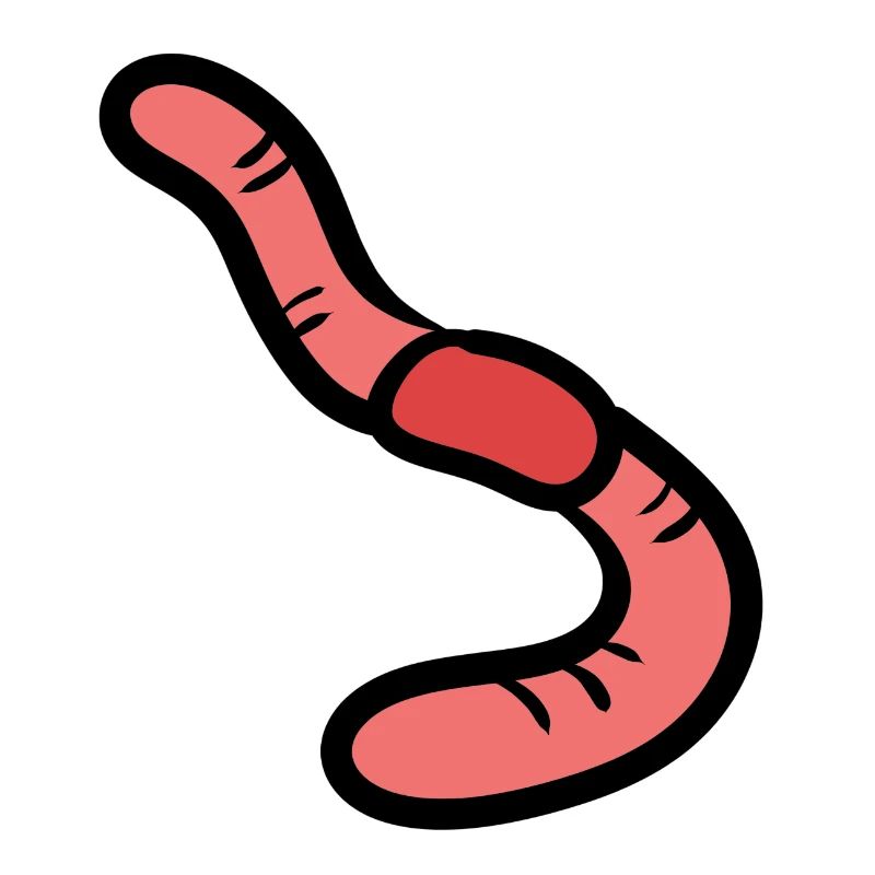 Regenwurm - Earthworm