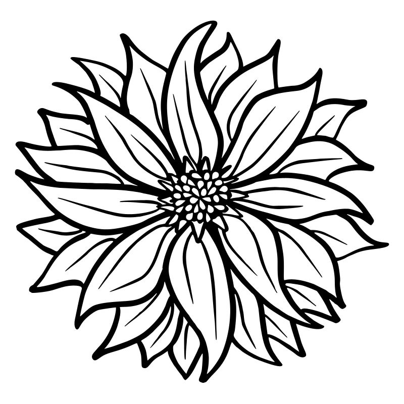 Filigrane Blume, Bergblume oder Yoga-Blüte