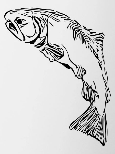 Salmon