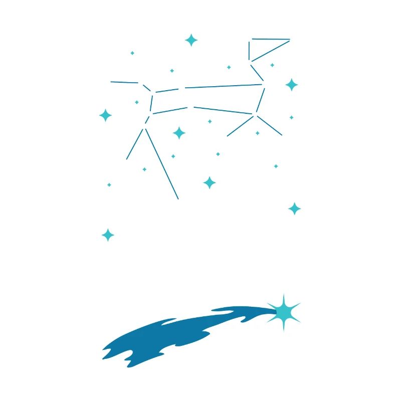 SPACE / CONSTELLATION: Why So Sirius Gift