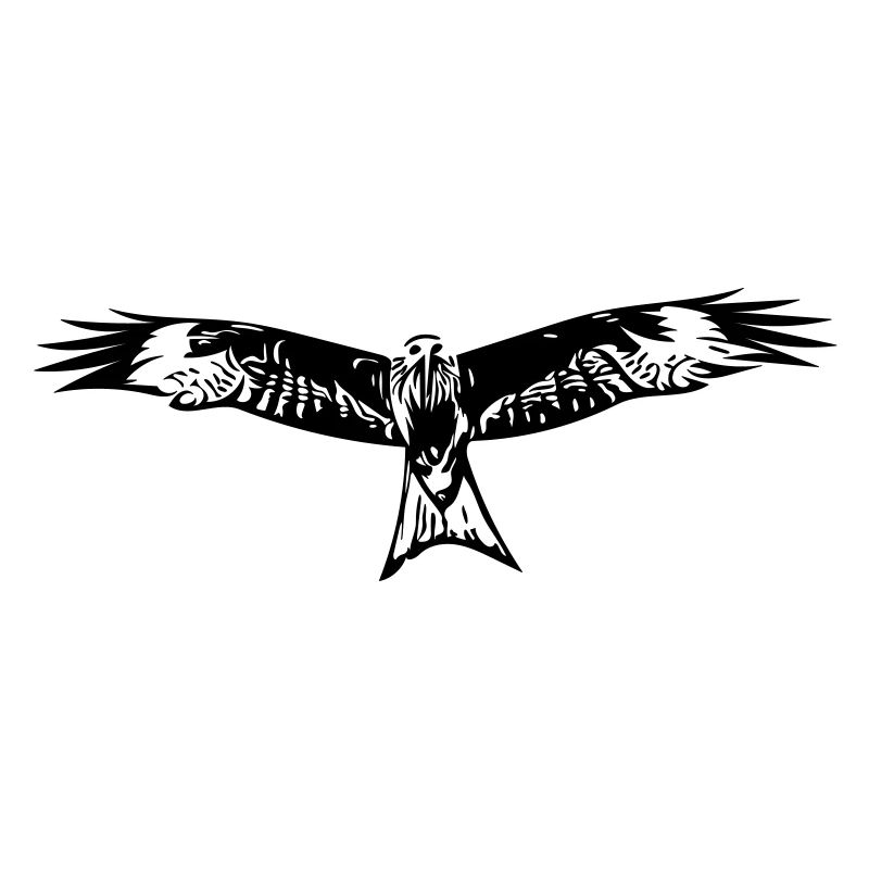 Falcon