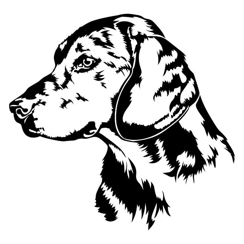 ALPINE DACHSBRACKE Portrait de chien Wilsigns