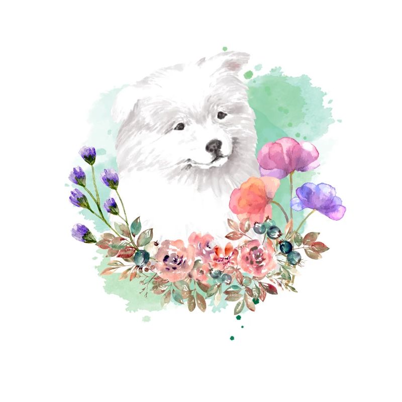 Samoyed Cottagecore Aquarelle Fleurs