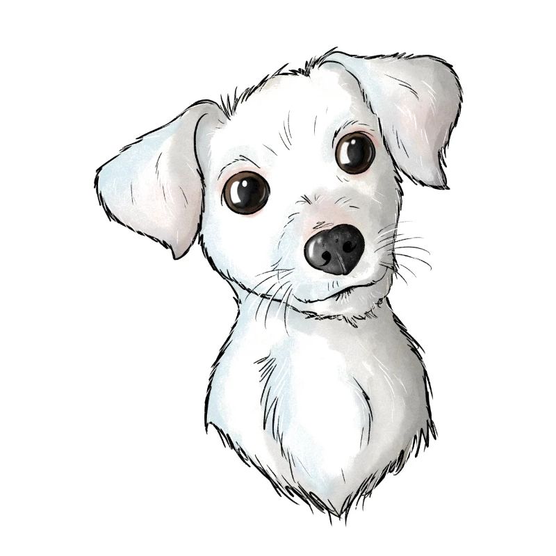 Jack Russell Pattern 2