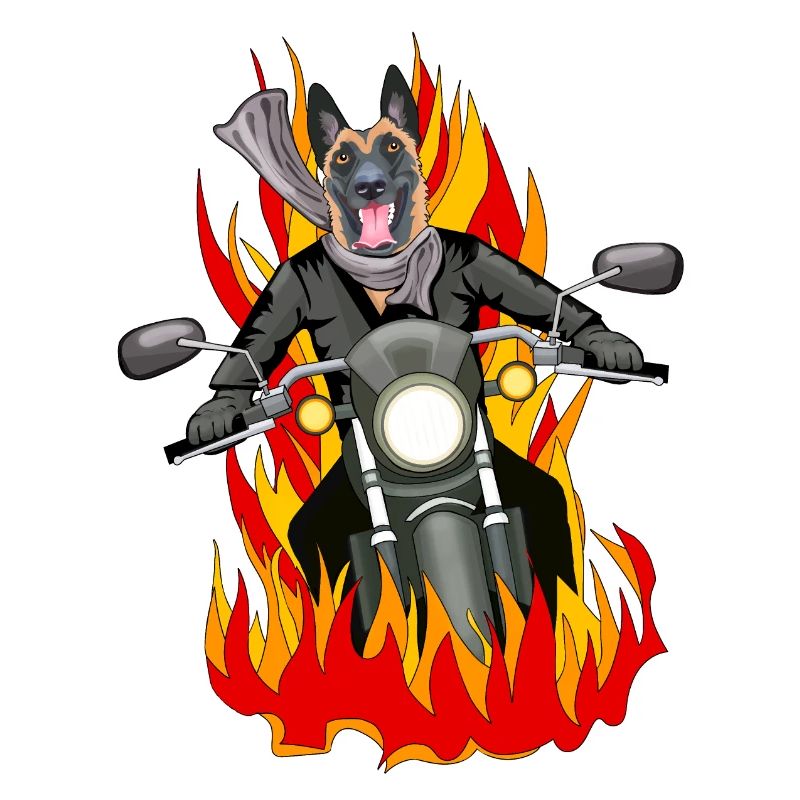 Fire malinois