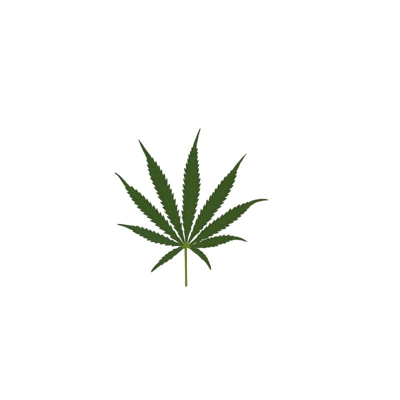 Cannabis blad