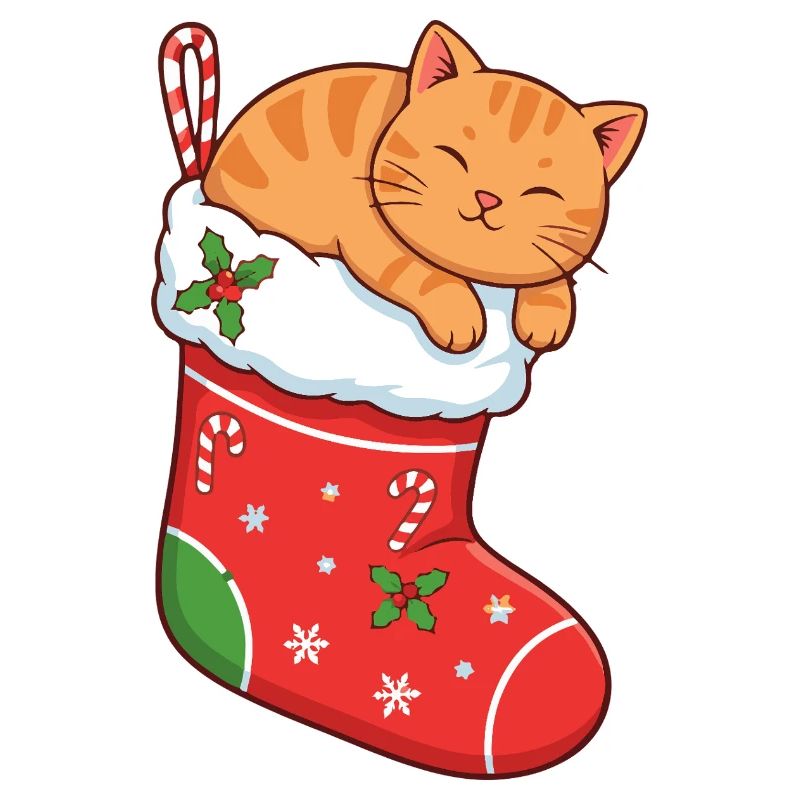 Cuddly cat in festive boots