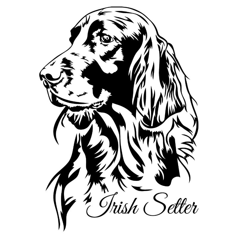Irish Setter Jagdhund Jagdhunde Hunde Wilsigns