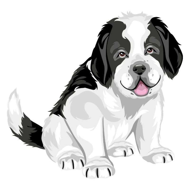 Mignon chiot Saint Bernard