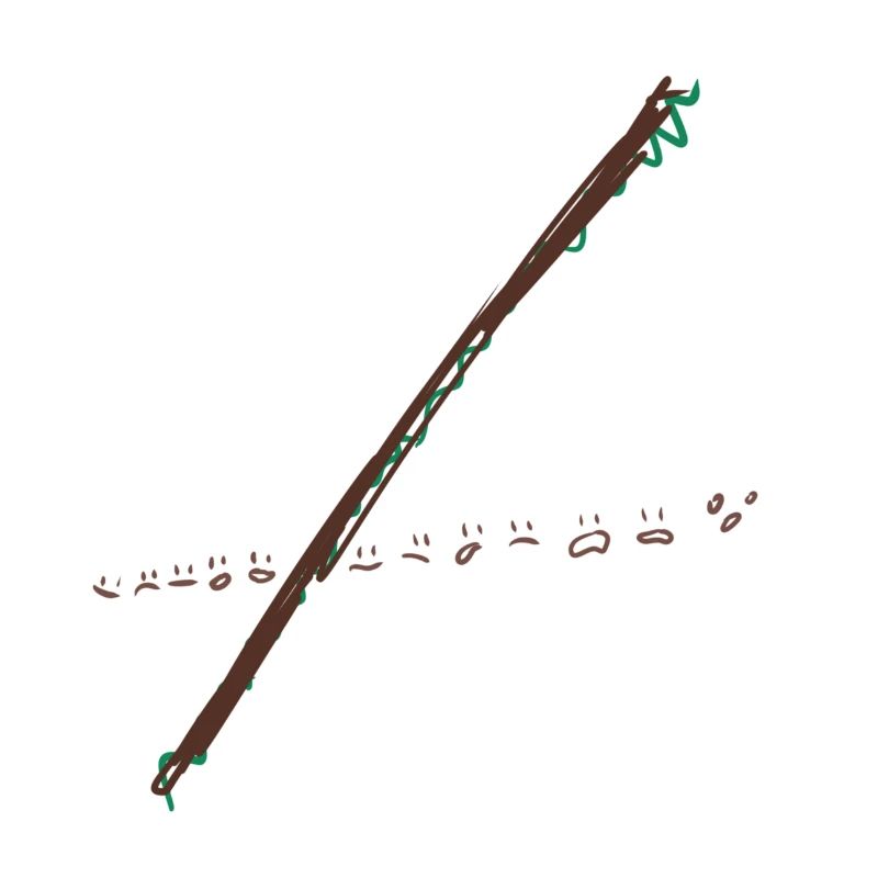 Equation Calculation