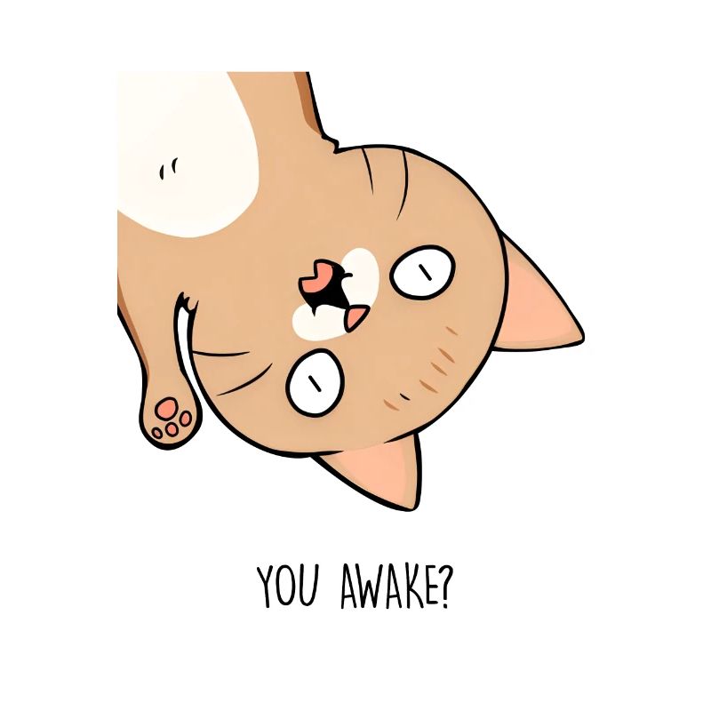 Typical Cat Behavior Collection Sayings