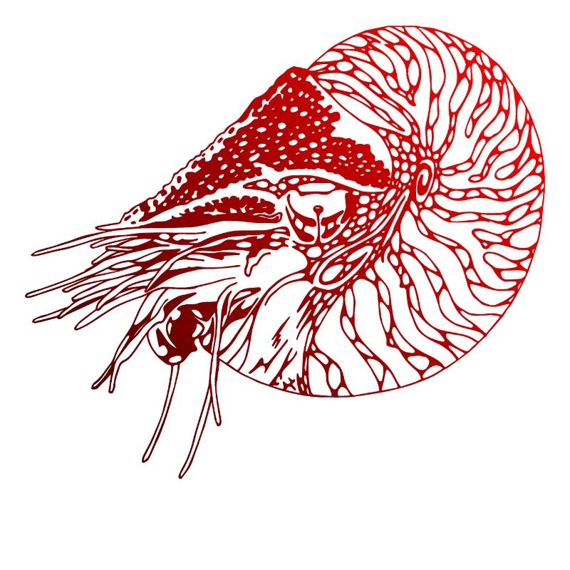 Nautilus SCUBA DE PLONGÉE PLONGÉE DE PLONGÉE ROUGE