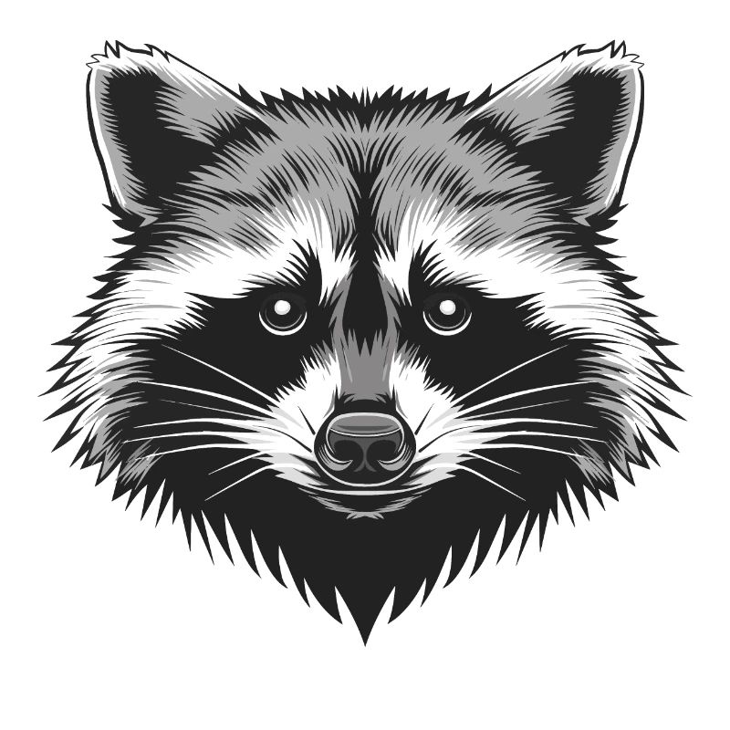 Waschbär