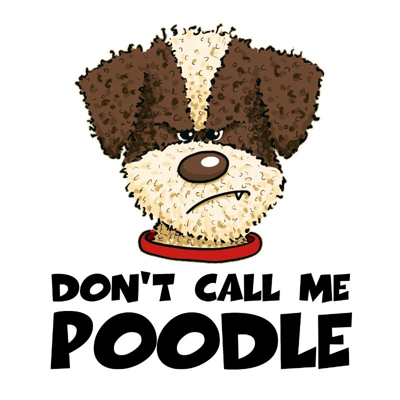 Poodle1 1