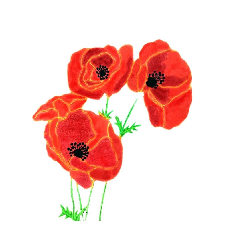 Mohnblumen