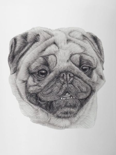 Mops Mops 2
