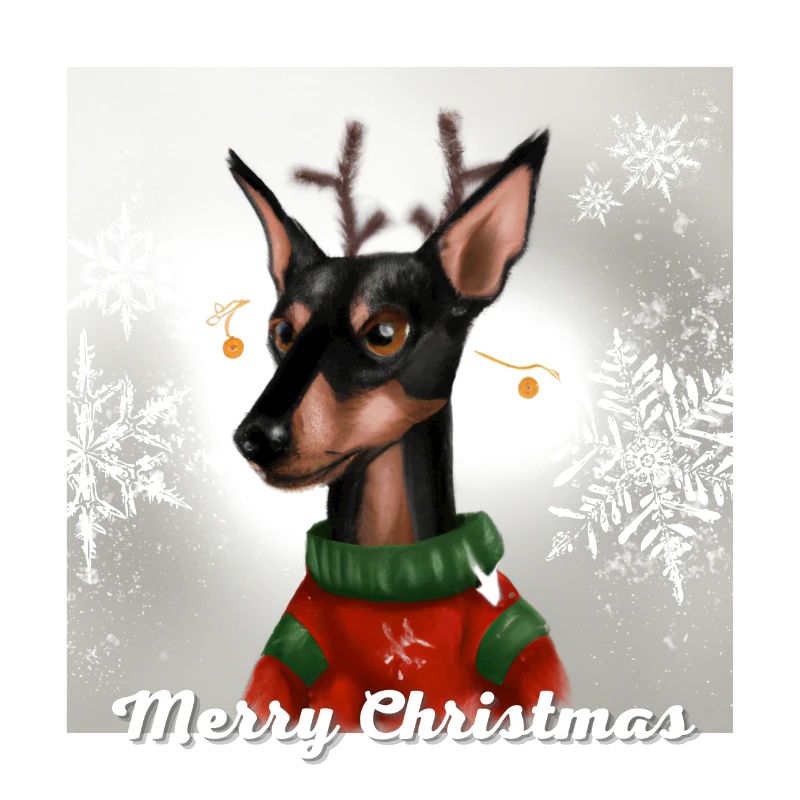 Mignon Pinscher miniature dans un pull de Noël.