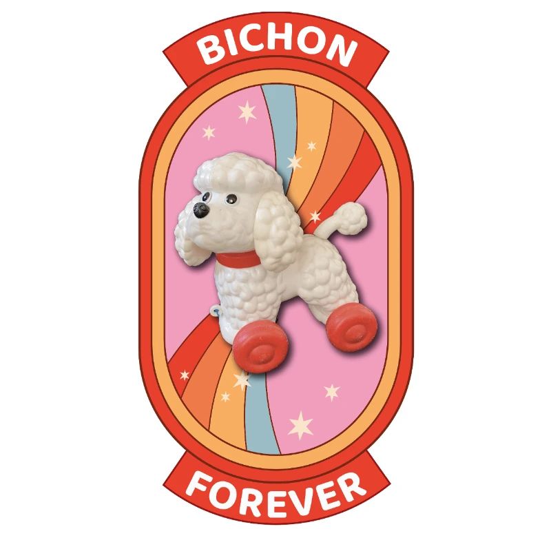Bichon forever rainbow