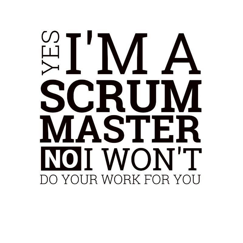 "Scrum Master" | programmer