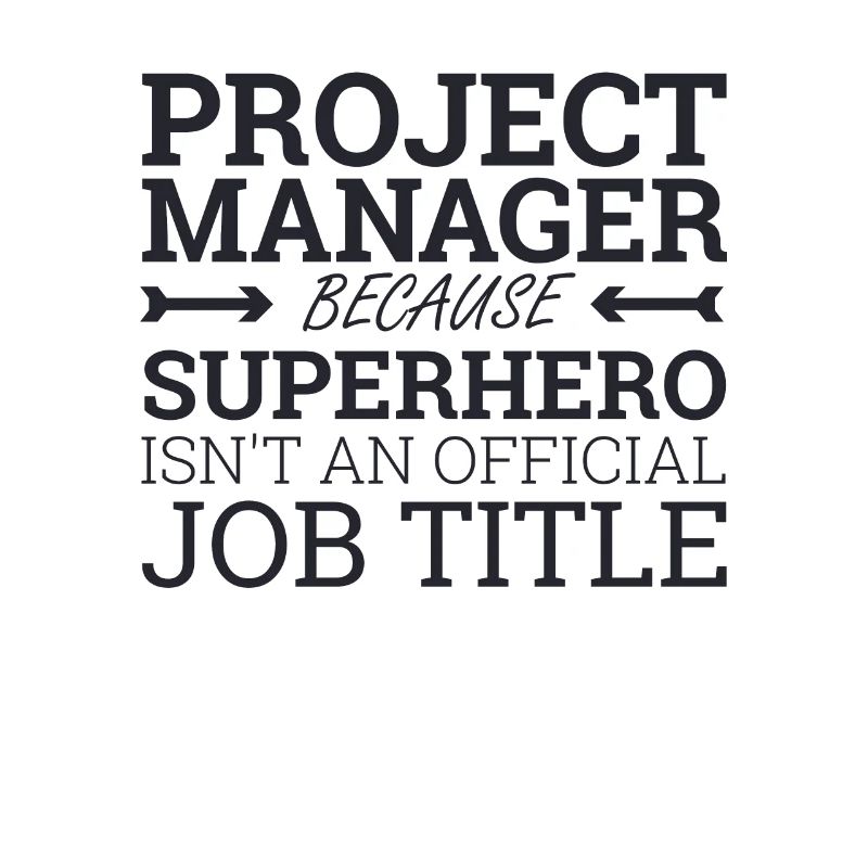 « Project Manager Superhero | Project Manager »