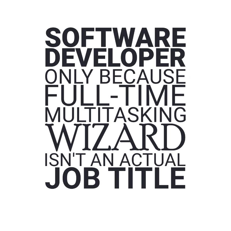 "Software Developer Wizard | Programmierer"