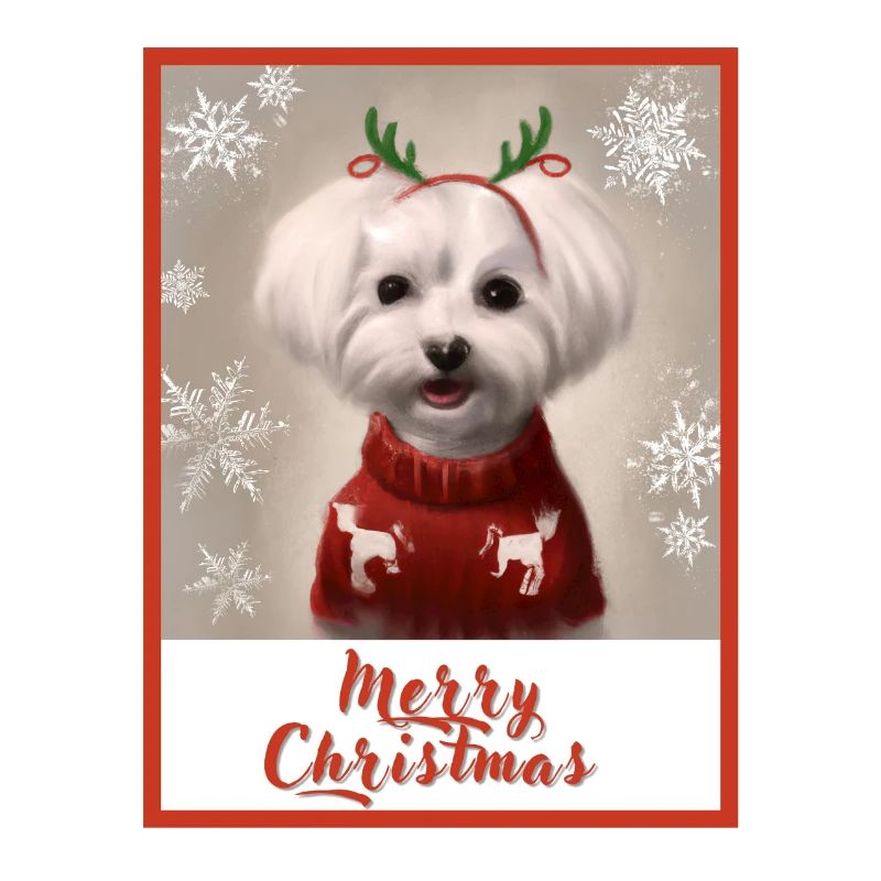 Doux chien maltais dans un pull de Noël rouge.