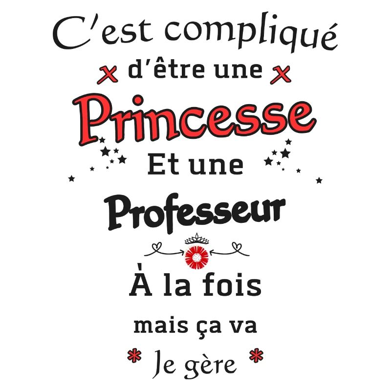 Princesse Professeur
