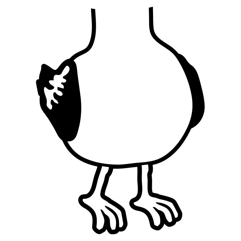 Kostüm Möwe ohne Kopf