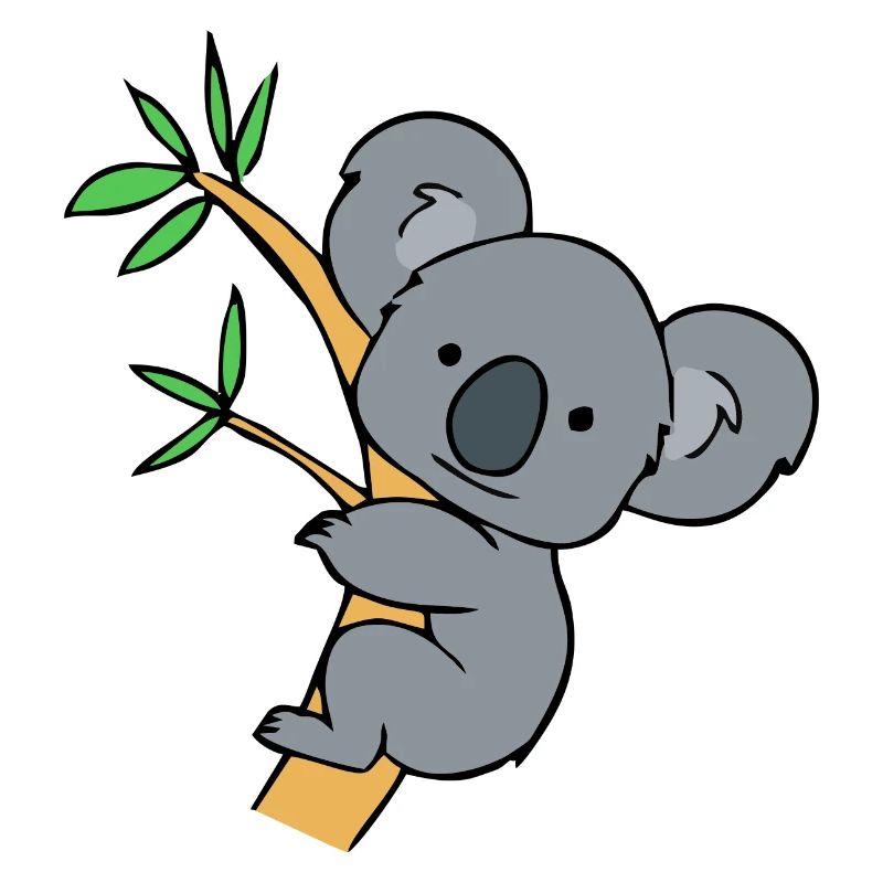 KOALA Bear 2