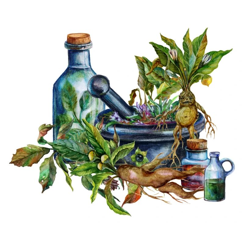 Herb Witch Utensils Fantasy Design