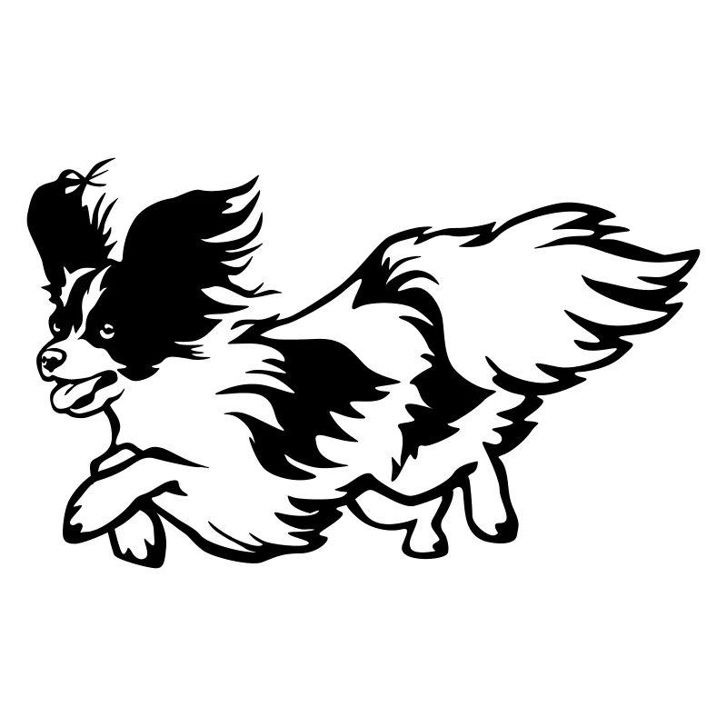 Papillon