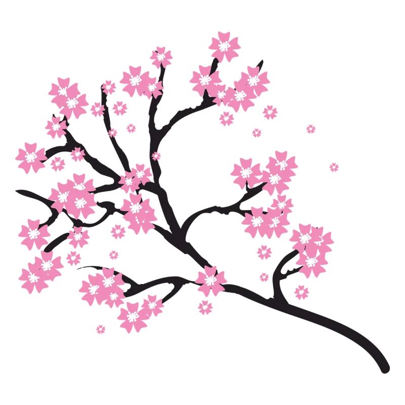 Cherry blossoms