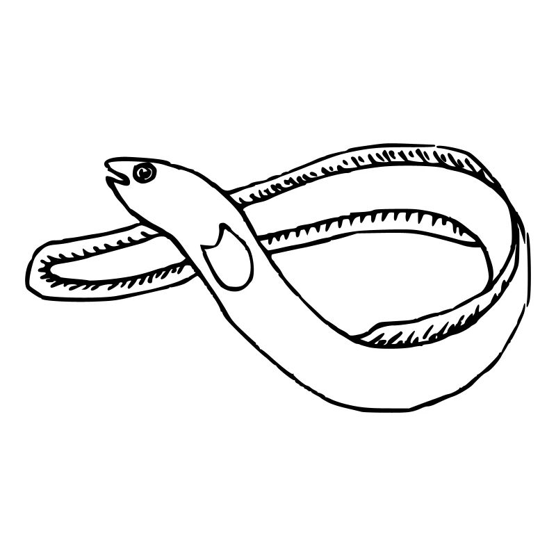 Aal