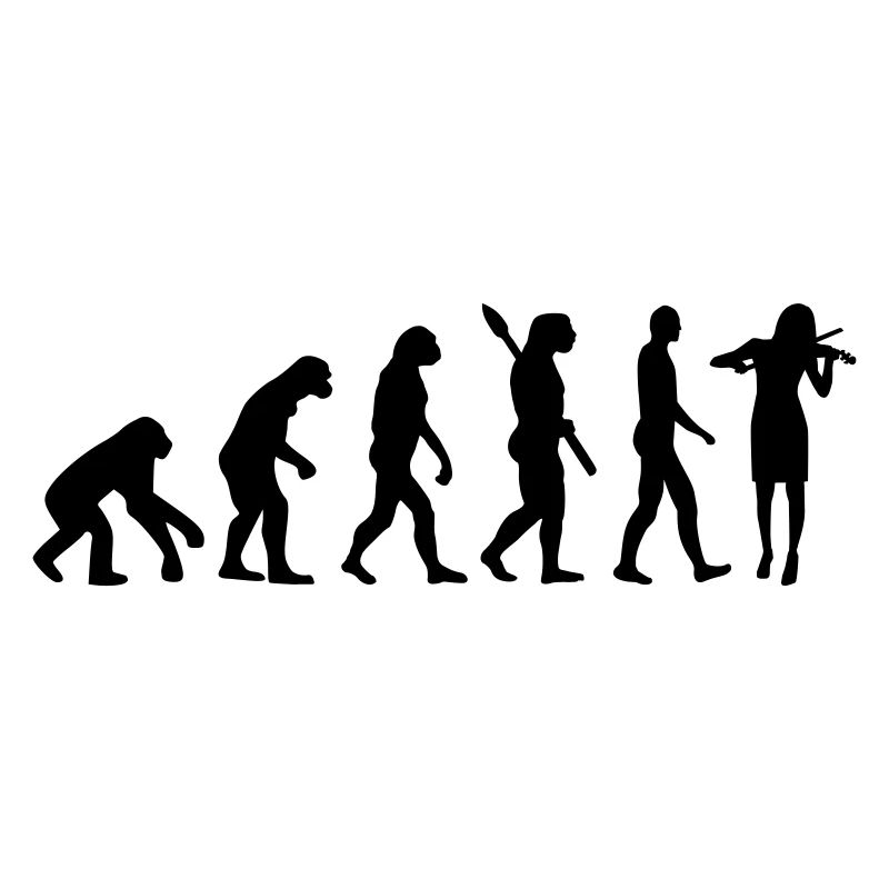 Evolution Violin Fiddle