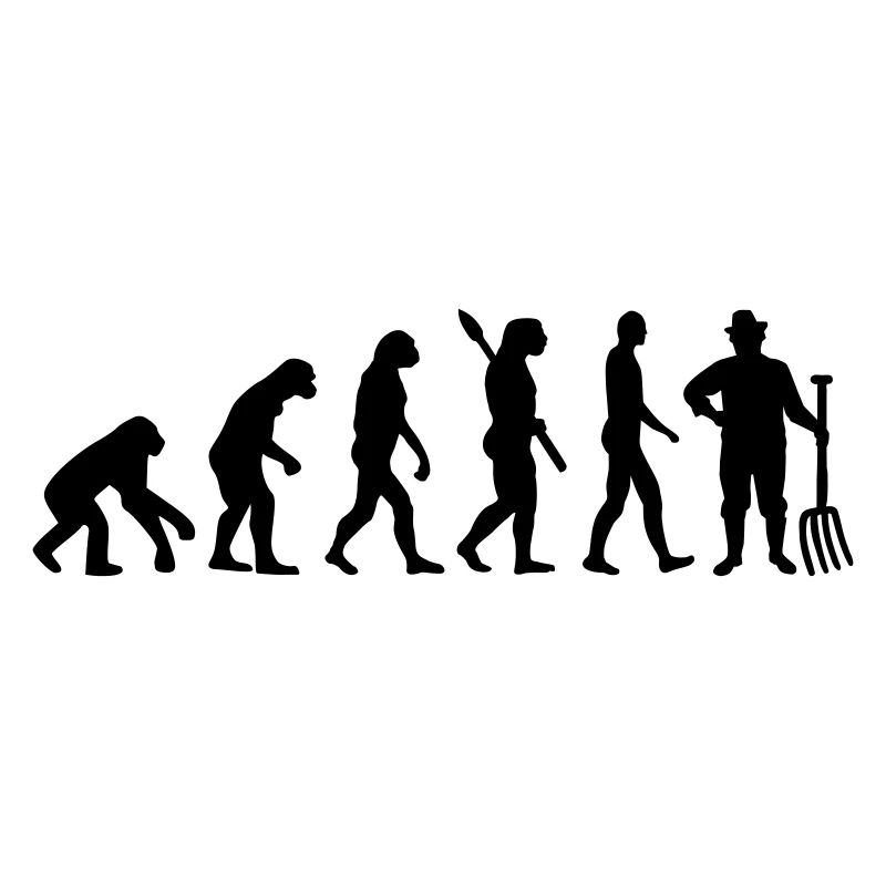 Evolution Bauer