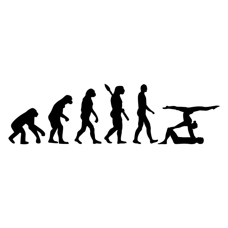 Evolution Acrobatics