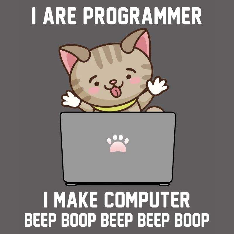 Programmeur