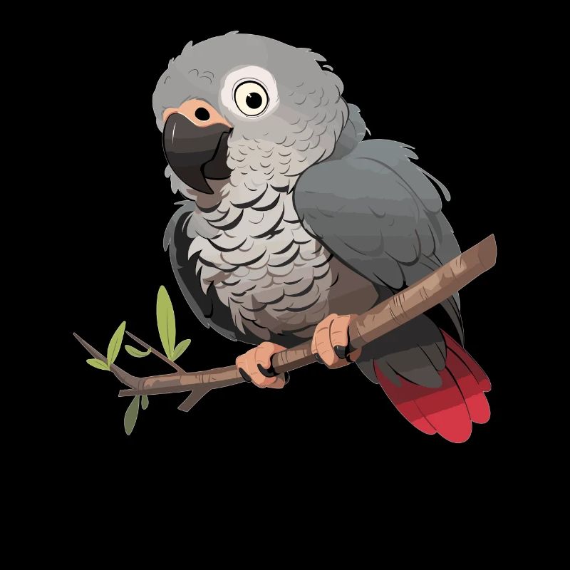 Perroquets gris d’Afrique