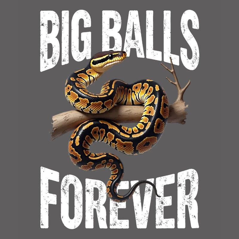 Python roi Serpents Amateurs de terrarium Python