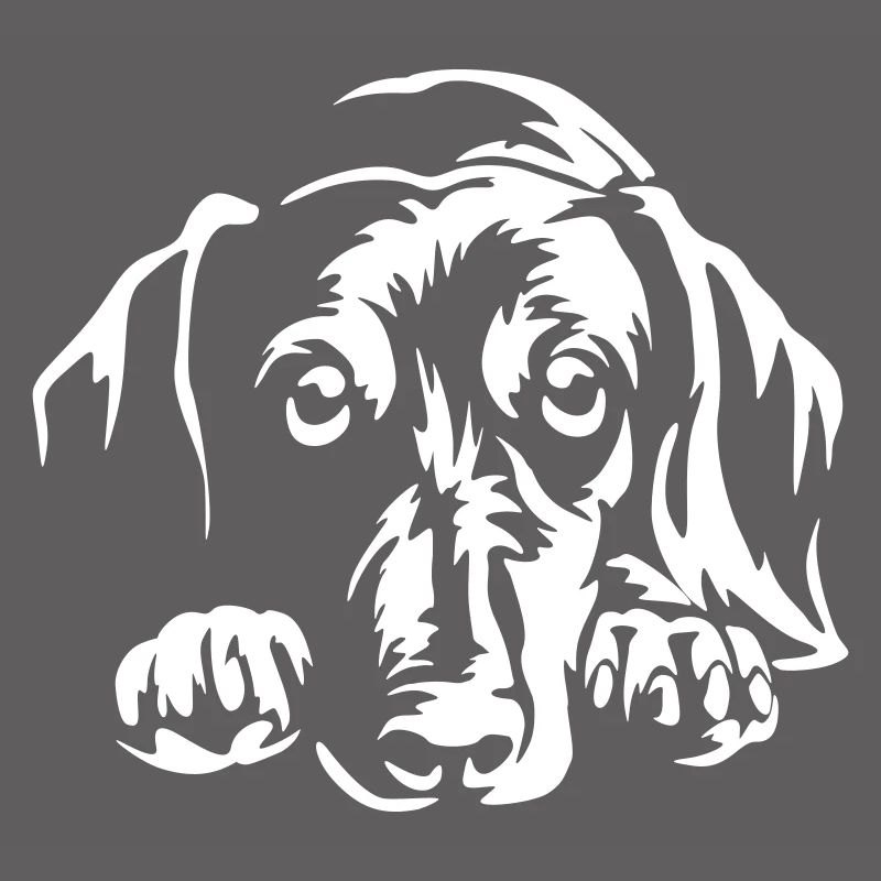 Dachshund "Black Edition"