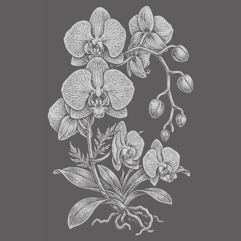 Orchidée Linework Silk Floral