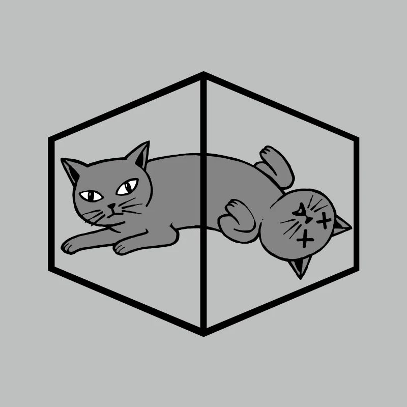 Le chat de Schrödinger