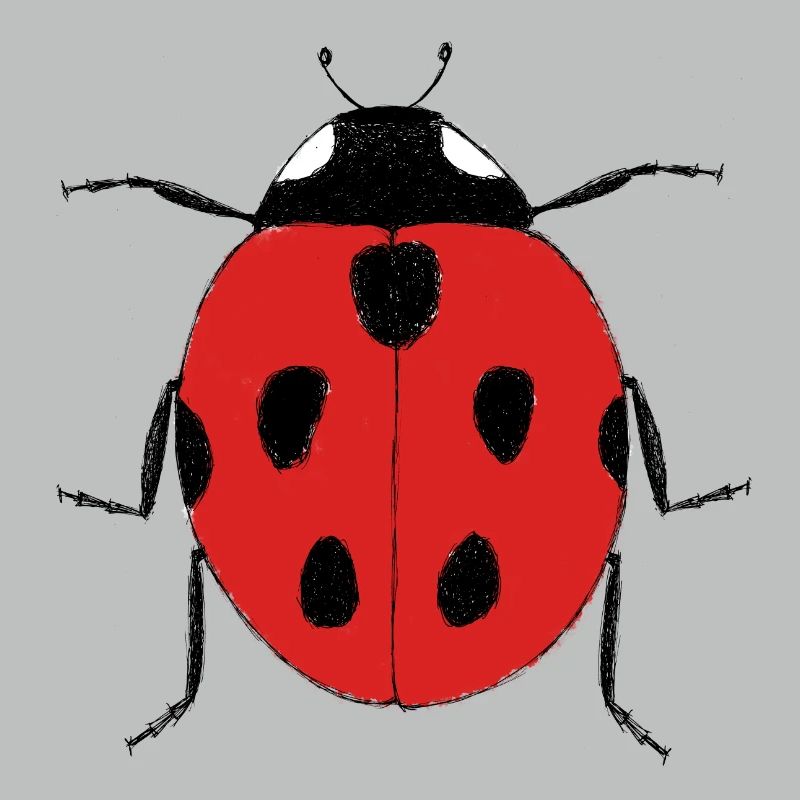 Marienkäfer