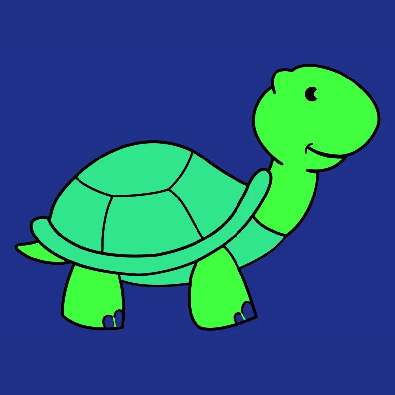 tortue
