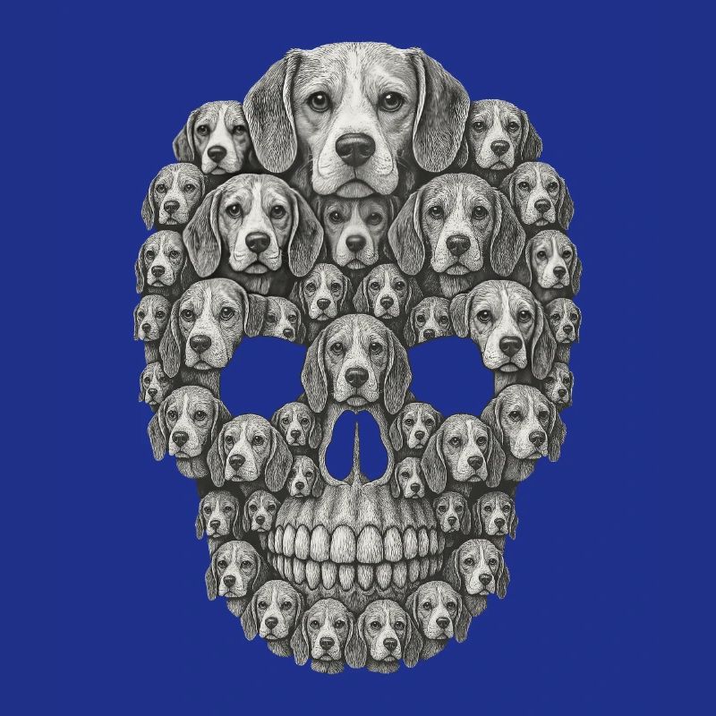 Beagle