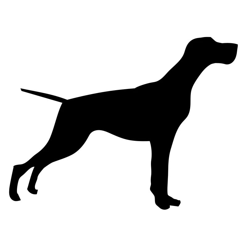 Dogue