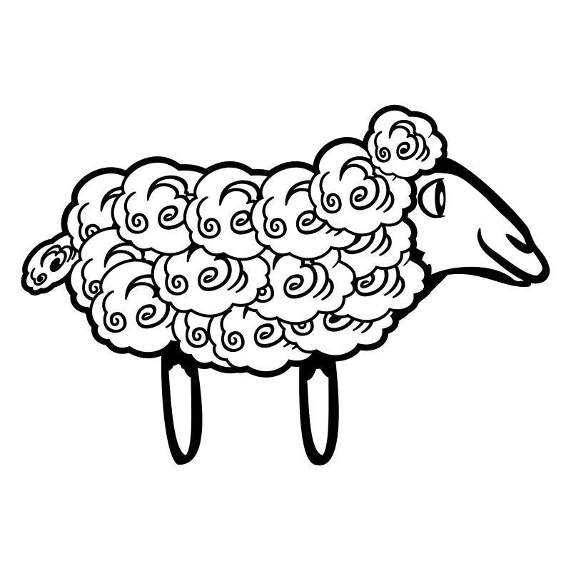 SHEEP natural wool